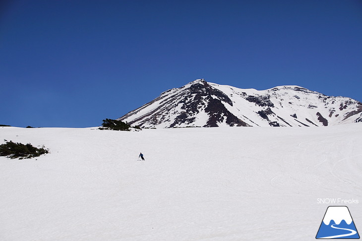 大雪山旭岳ロープウェイスキー場 残雪の北海道最高峰に今季最後のシュプールを…。